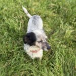 Received 2272529343262020