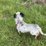 Received 2299440810553500