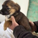 Received 2373004103123798