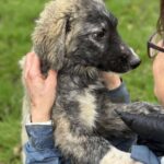 Received 25038516442477626