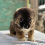 Received 25241492995516872