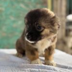 Received 25461447670139037