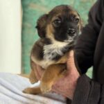 Received 2989809021409815