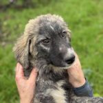 Received 3761116020690061