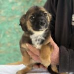 Received 4595649490670744