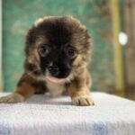 Received 736140968916562