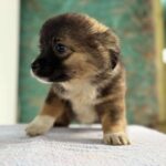 Received 830508096288056