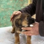 Received 834606836199397