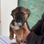 Received 852716110880065