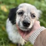 Received 863503369663687