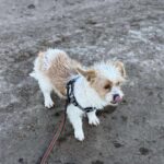 0124dcd2 9a2e 4e3b a5d4 b6bc88b8a235