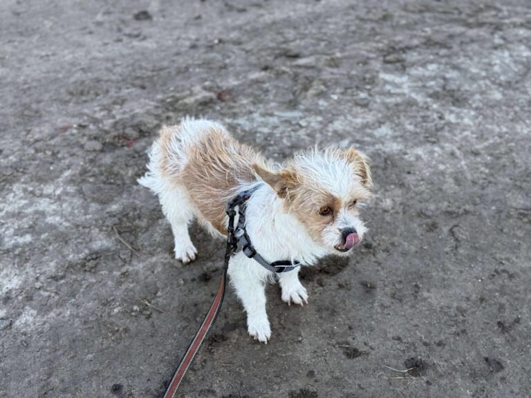 0124dcd2 9a2e 4e3b a5d4 b6bc88b8a235