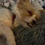 2ef303d1 7211 4d62 9222 ea77b057caf5