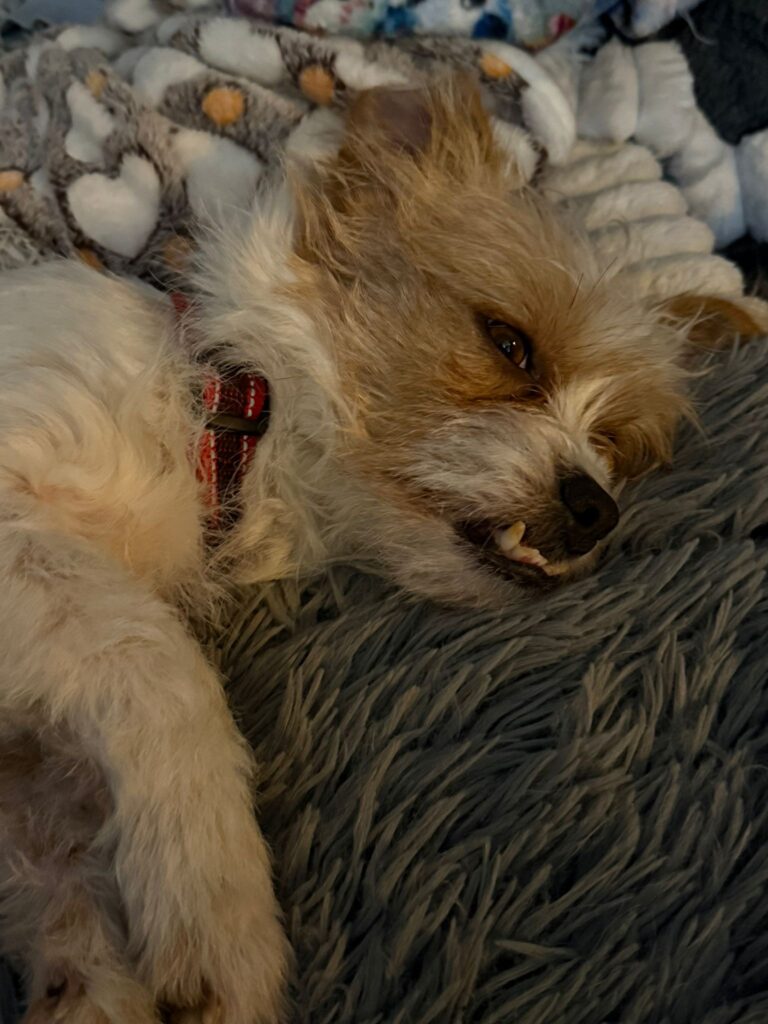 2ef303d1 7211 4d62 9222 ea77b057caf5