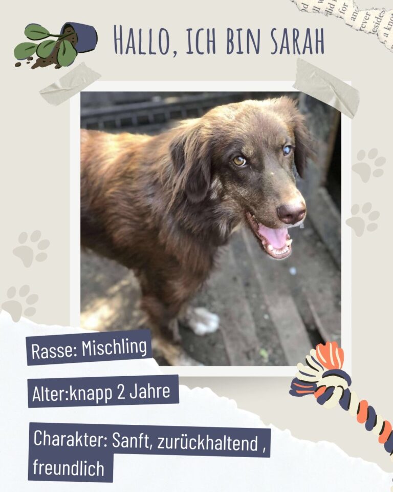 33ae4aa0 5f24 42fb a470 33547388635f