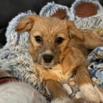 455fa047 9194 452c 8309 f8f40cc0f720