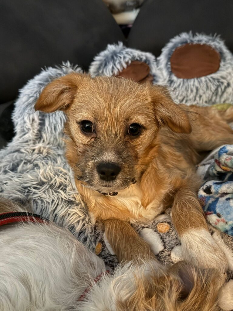 455fa047 9194 452c 8309 f8f40cc0f720