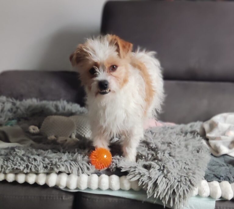 49cceee6 1235 4fd3 adc5 40432d9a6e0b