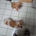 53ee22c2 2bdb 4261 822d 5f8d6f99553b