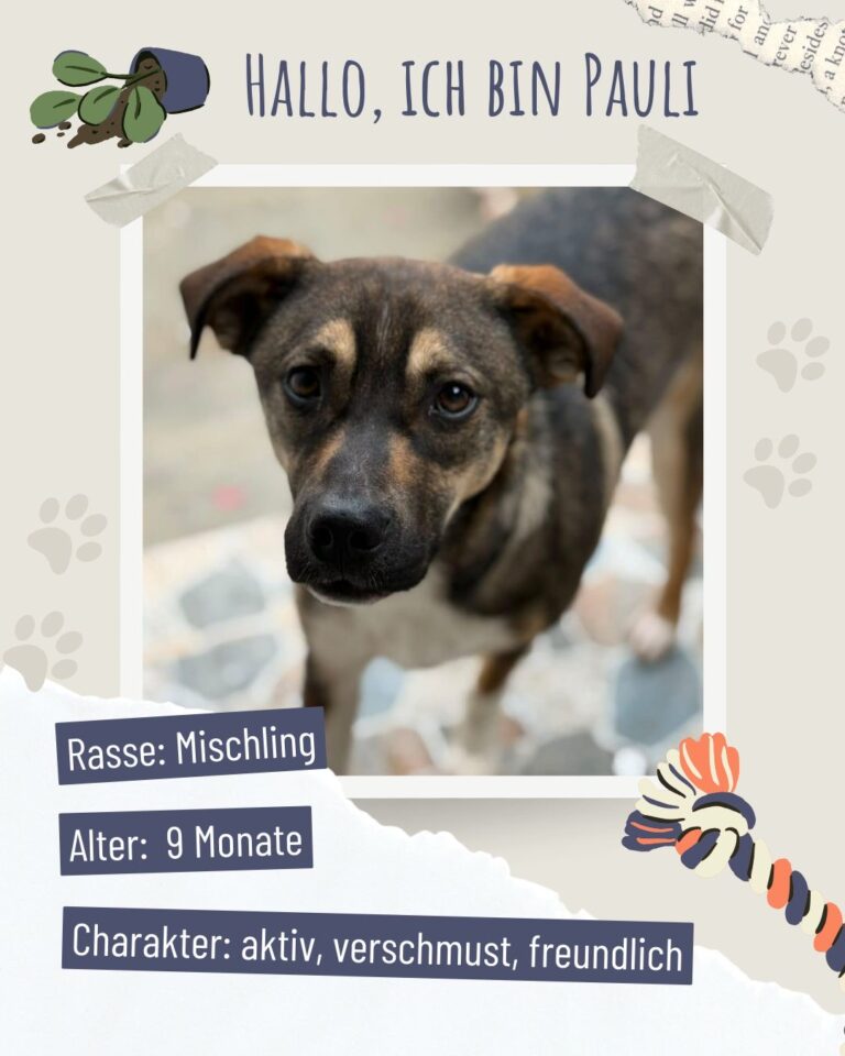 5afaa058 0b9b 4873 89ec 8eb680a27d12