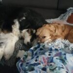 8647b7ac 91c9 464f bc90 cb8977696482