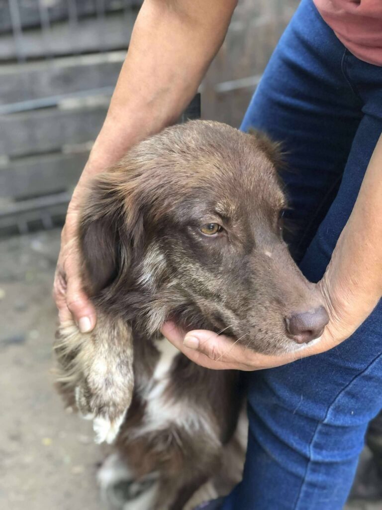 Fb img 1769499482186