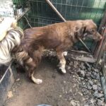 Fb img 1769499485142