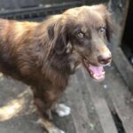 Fb img 1769499489761