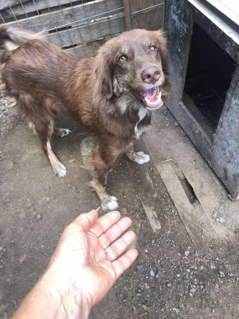 Fb img 1769499492496