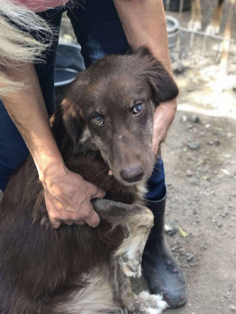 Fb img 1769499495516