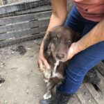 Fb img 1769499500691