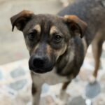 Messenger creation 4c0af2e2 b4e1 4983 b75b 60877a5a10a0