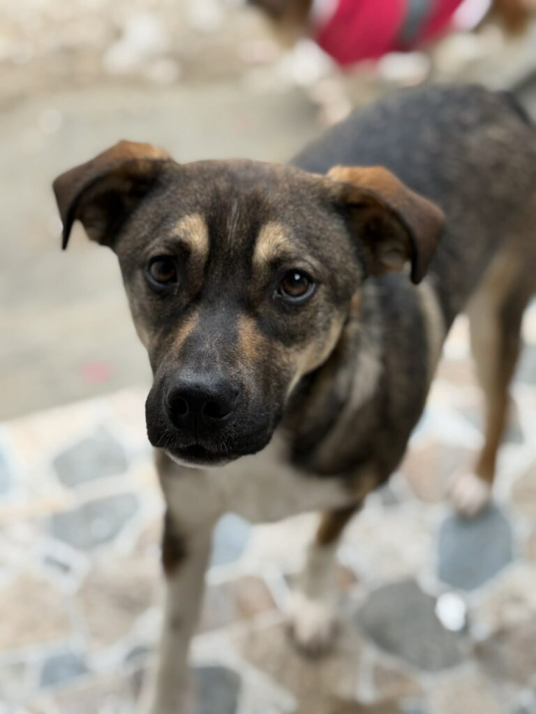 Messenger creation 4c0af2e2 b4e1 4983 b75b 60877a5a10a0