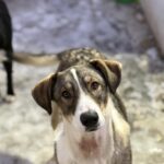 Messenger creation 5abcfb68 c14a 44b1 addf 7ed5b3d6b3df