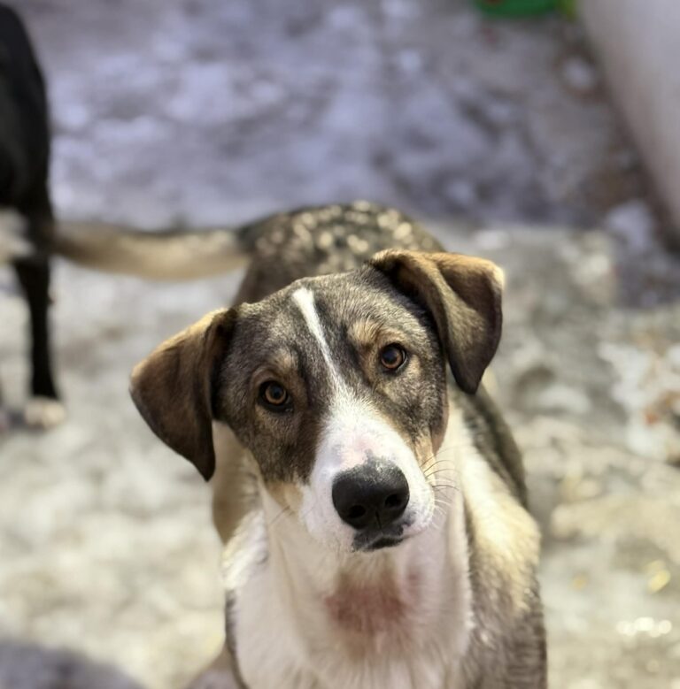 Messenger creation 5abcfb68 c14a 44b1 addf 7ed5b3d6b3df