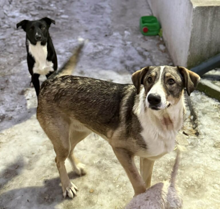 Messenger creation 5ae8cecc 94fa 45a1 8382 fd30dade8b95