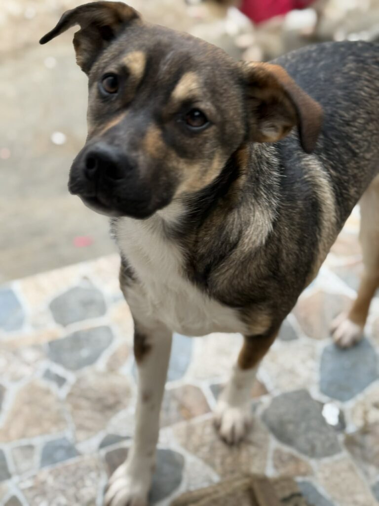 Messenger creation 5ffe69dc c63f 4ac7 a649 4fea094ce1c7