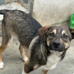 Messenger creation 7b3f0f22 9bcd 42d4 a557 4f3b2e177651