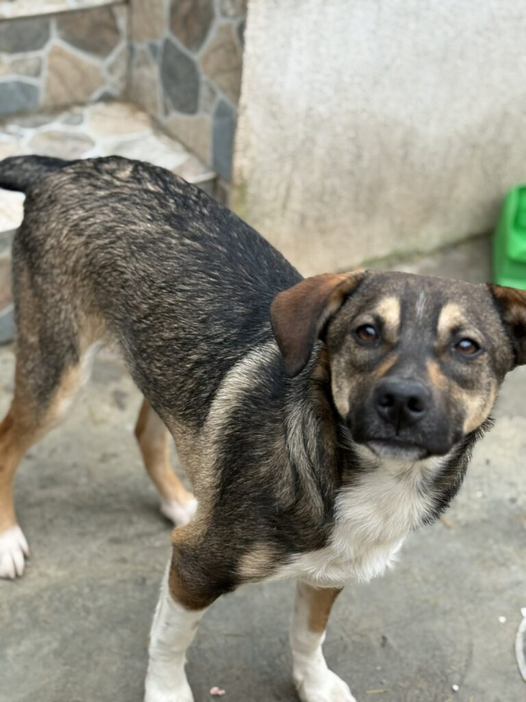 Messenger creation 7b3f0f22 9bcd 42d4 a557 4f3b2e177651