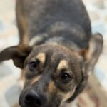 Messenger creation 8112aa24 d305 4c83 bc7b 355b47158bd1