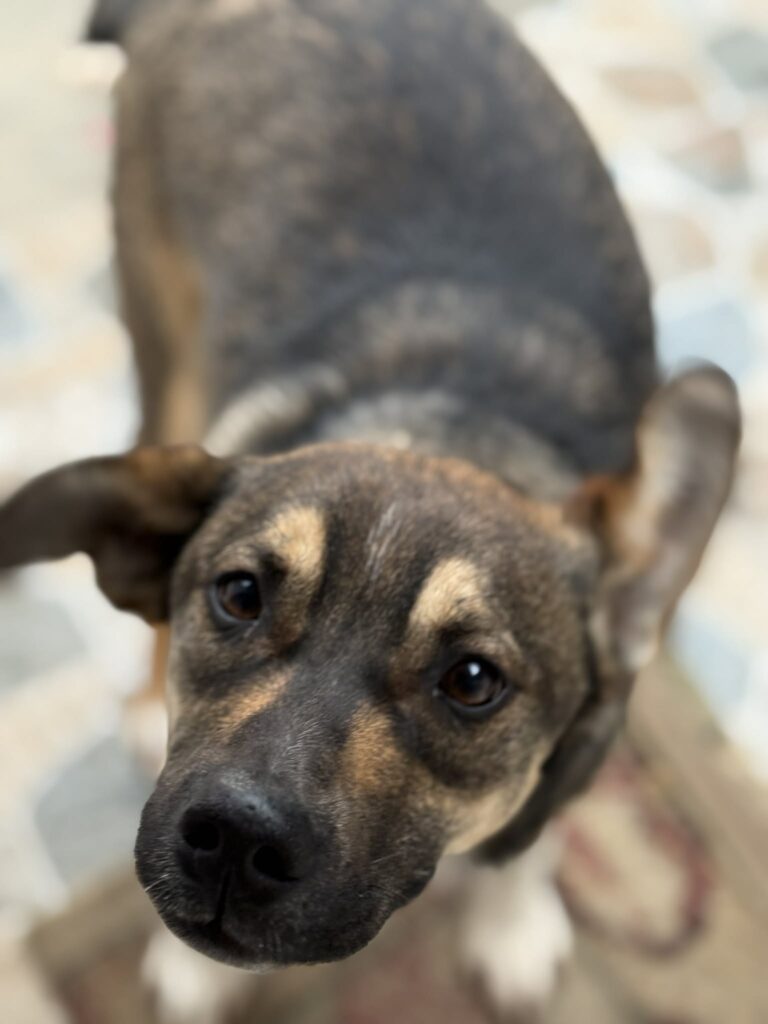 Messenger creation 8112aa24 d305 4c83 bc7b 355b47158bd1