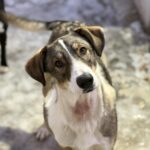 Messenger creation bf44bc67 1474 4821 a161 9d86609a841e