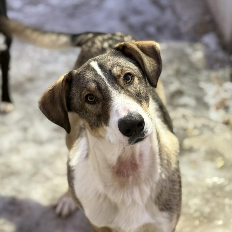 Messenger creation bf44bc67 1474 4821 a161 9d86609a841e