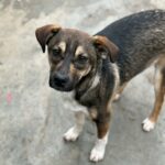 Messenger creation c31282be 2c34 47e6 8cd1 0f4e092ffad9