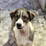 Messenger creation dd406842 e805 46c9 91b1 0412841a68c3