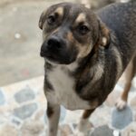 Messenger creation e91de9dd d09c 46ab 8364 bfe500b9e092