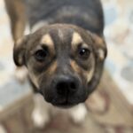 Messenger creation fce9ba93 2ec5 4444 b88f 23663df57dca