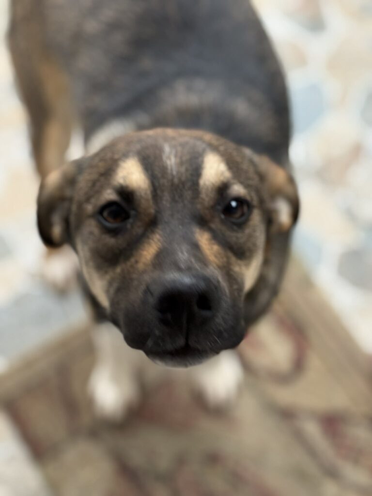 Messenger creation fce9ba93 2ec5 4444 b88f 23663df57dca