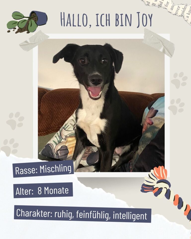 D1e4aaa9 a176 4156 8e46 0edfa350d811