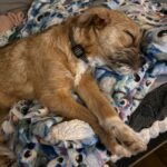 Eb1cd7f1 5499 4bee 9891 93545ef33552